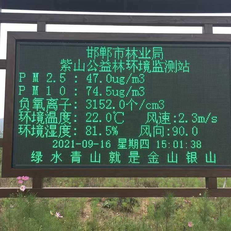 紫山森林環境監測